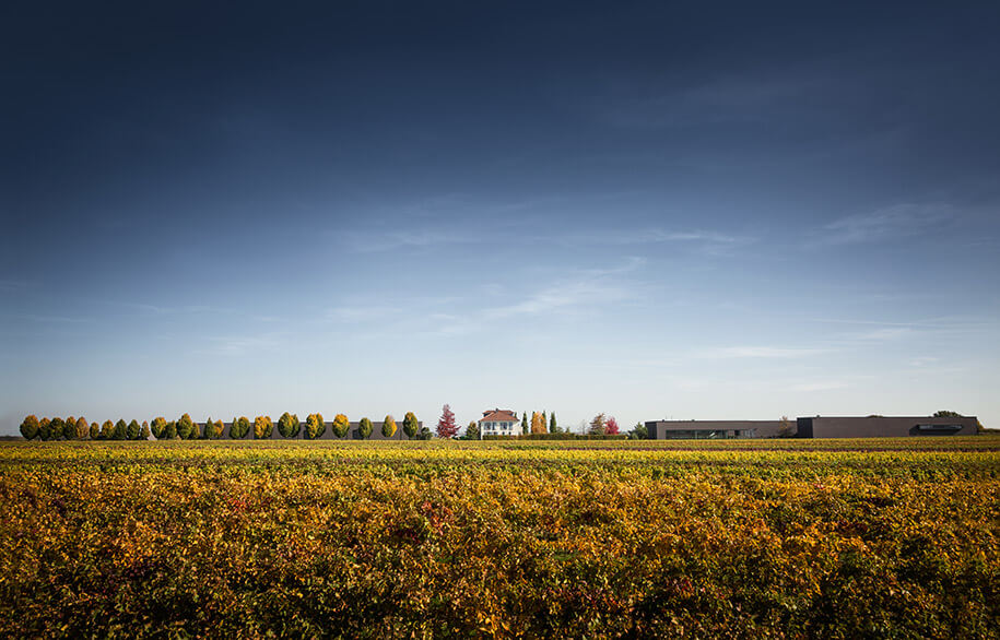 Weingut Markus Schneider