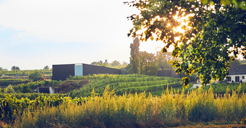 Weingut Loimer Langenlois