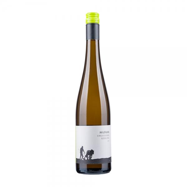 Pflüger Wein | Ungsteiner Riesling | 2017