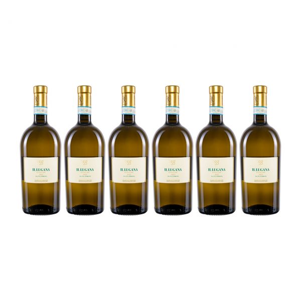Pasini Il Lugana | 6er Weinpaket